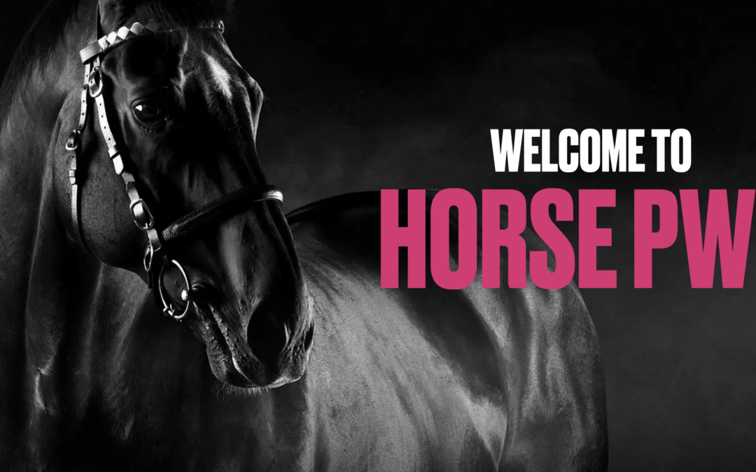 Renowned welfare expert recommends British Horseracing update their horse welfare assumptions